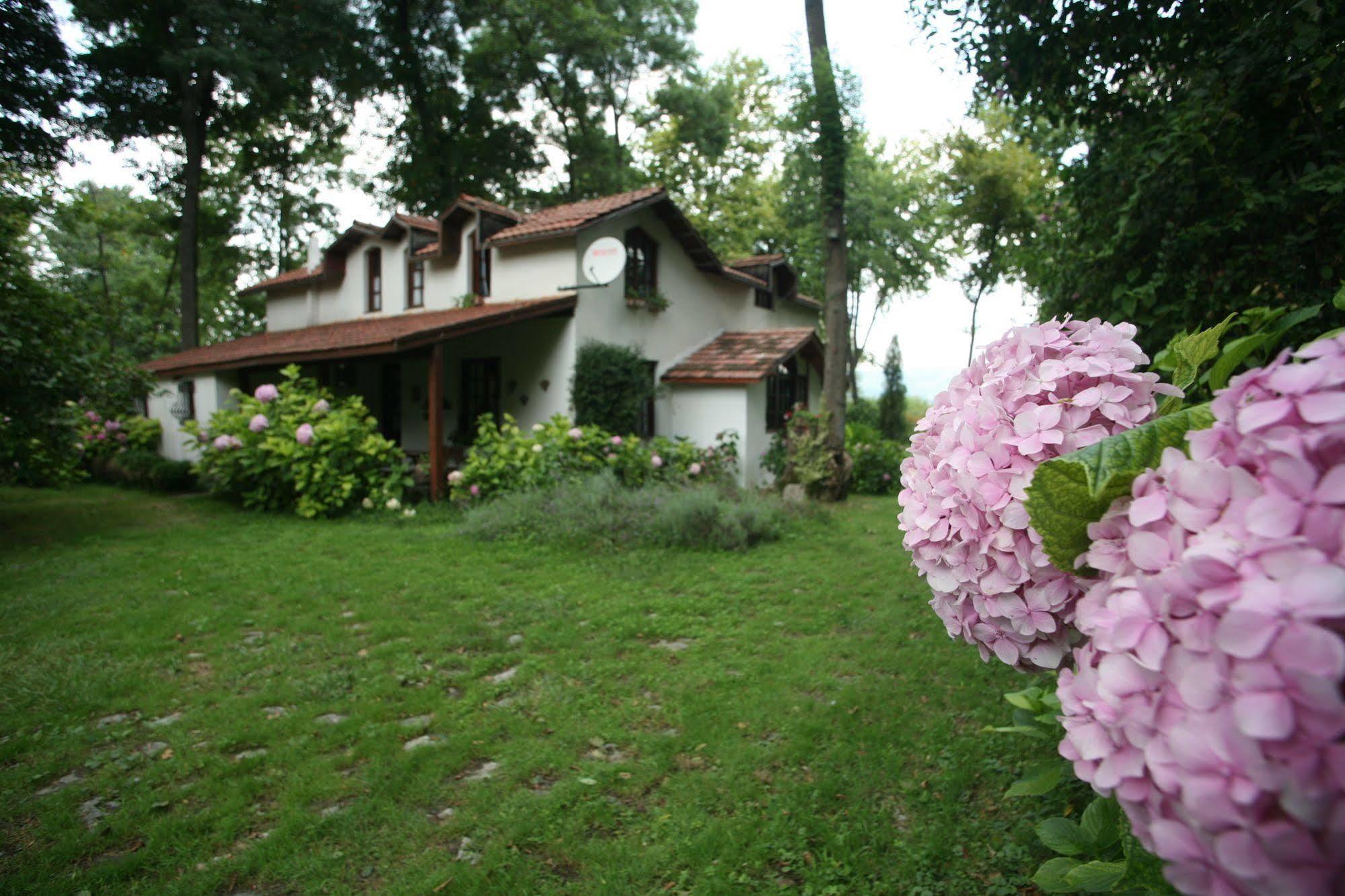 Beta Home Sapanca Esterno foto